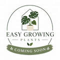 130mm Hypoestes (Hypoestes phyllostachya)